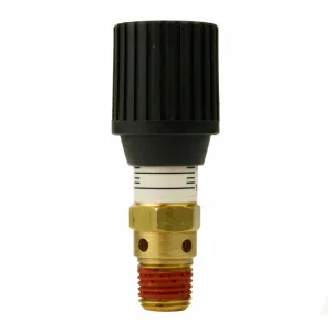 0-100 PSI CR Series Adjustable Air Pressure Relief Valve