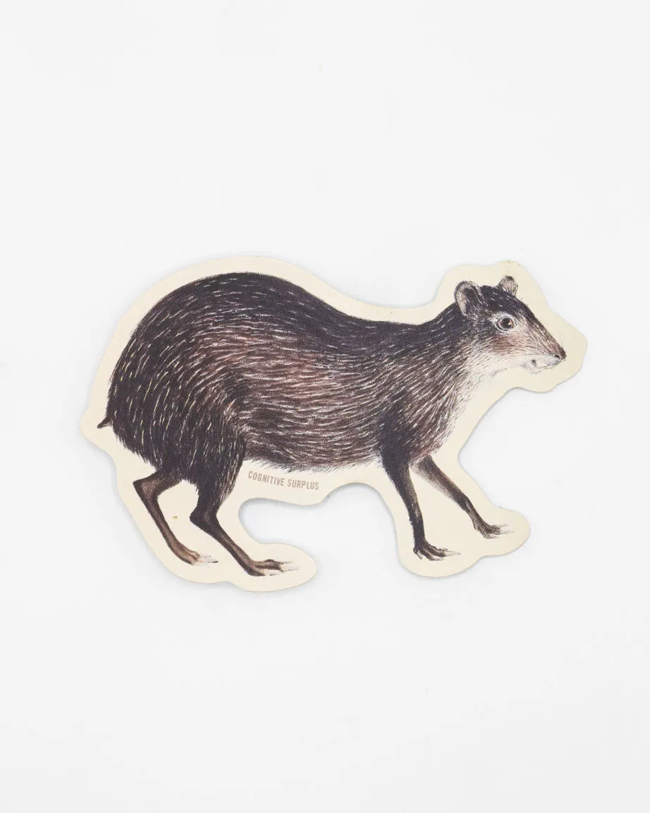 Agouti Sticker