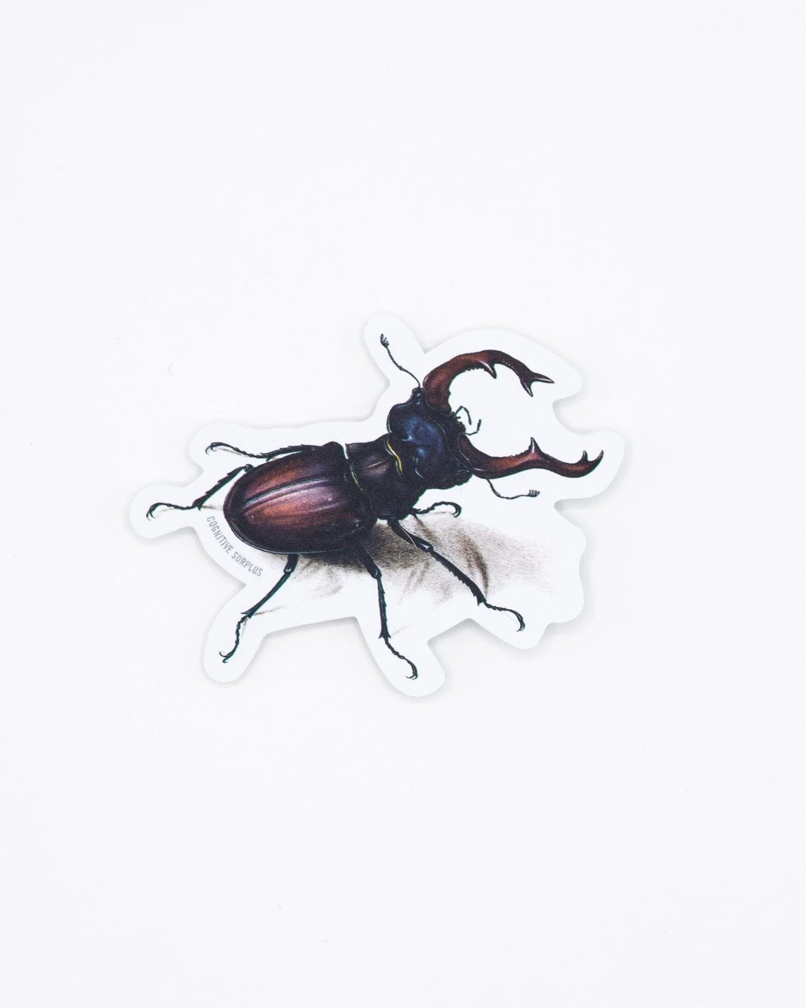Beetle Sticker