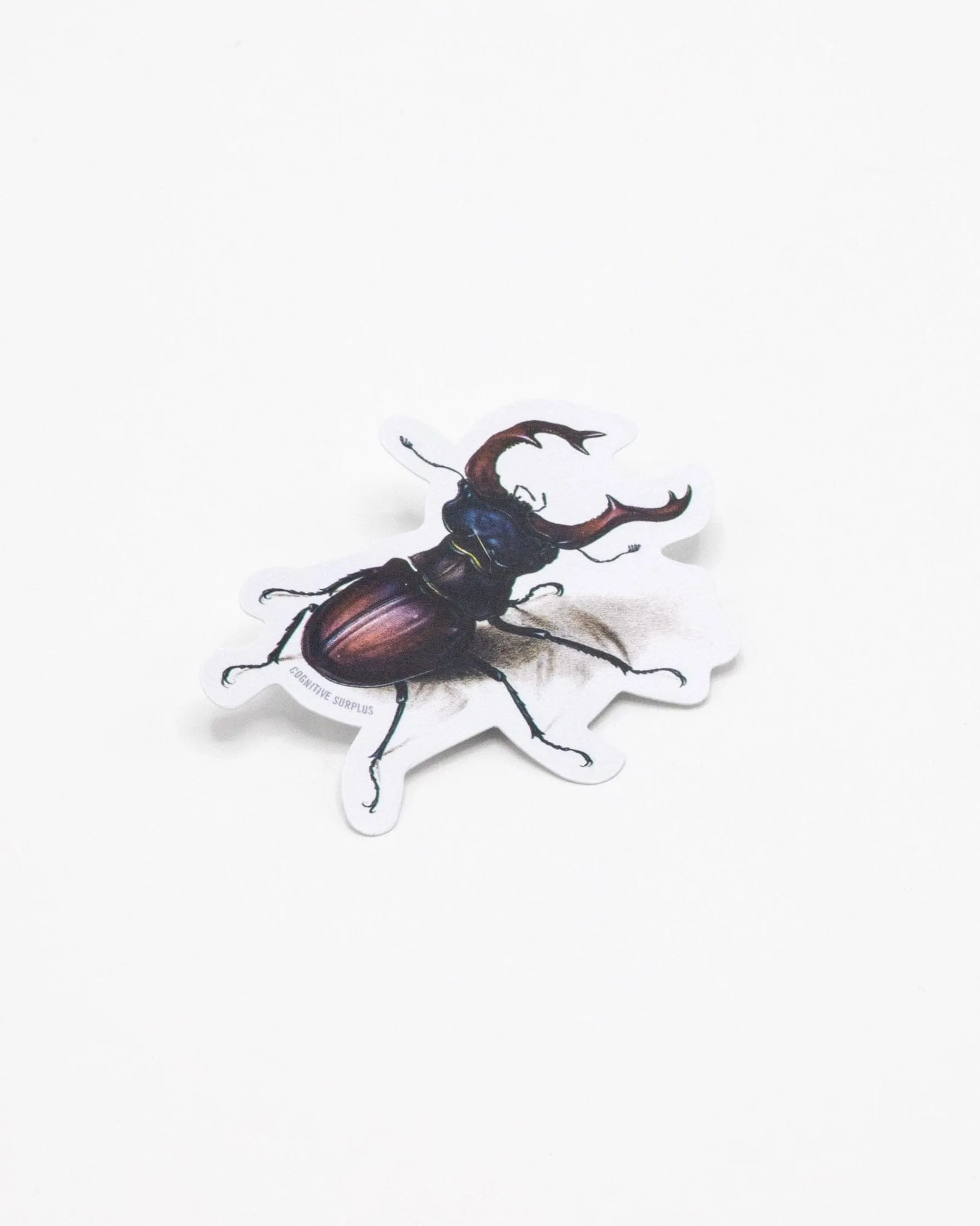 Beetle Sticker