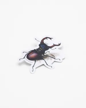Beetle Sticker