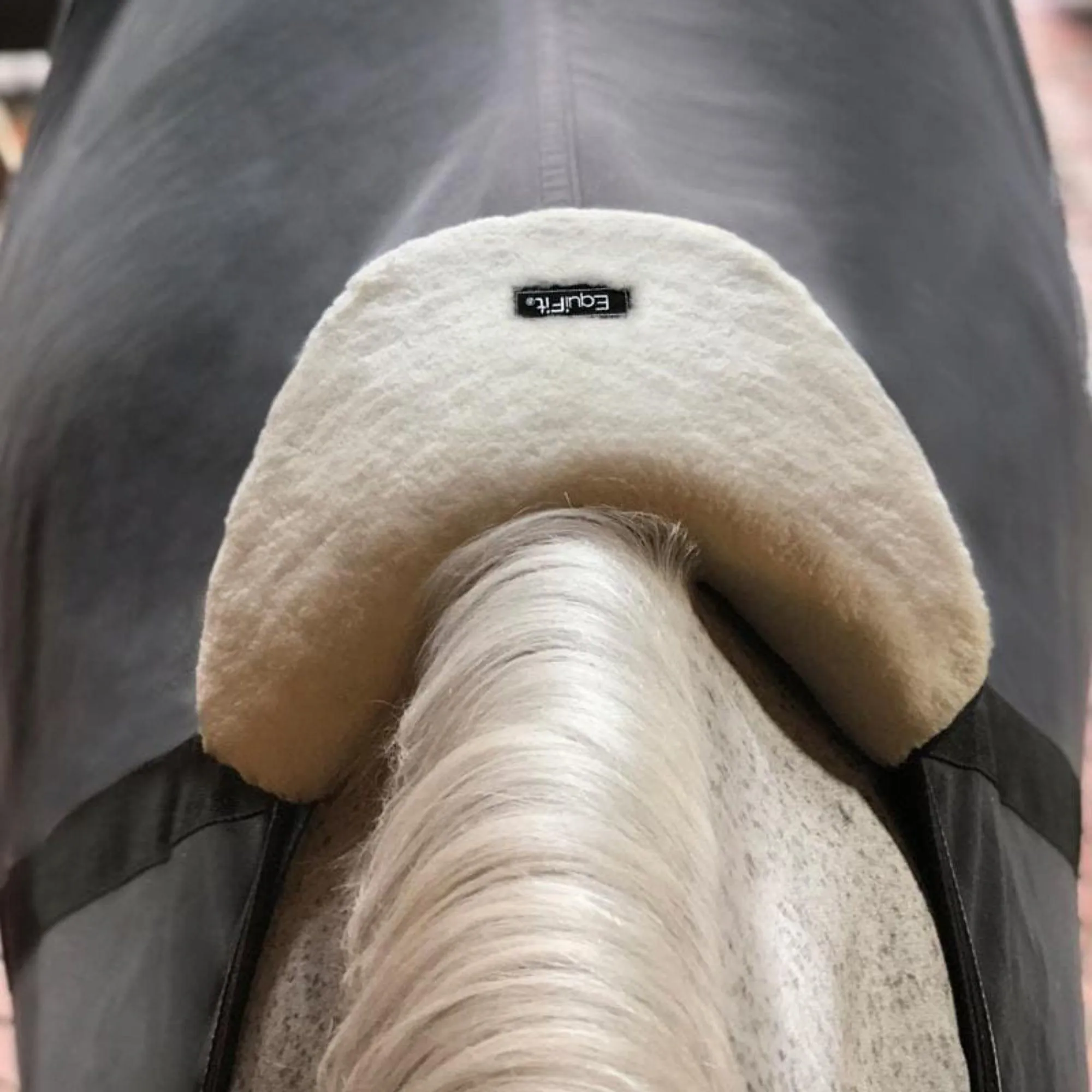 EquiFit WitherShield™