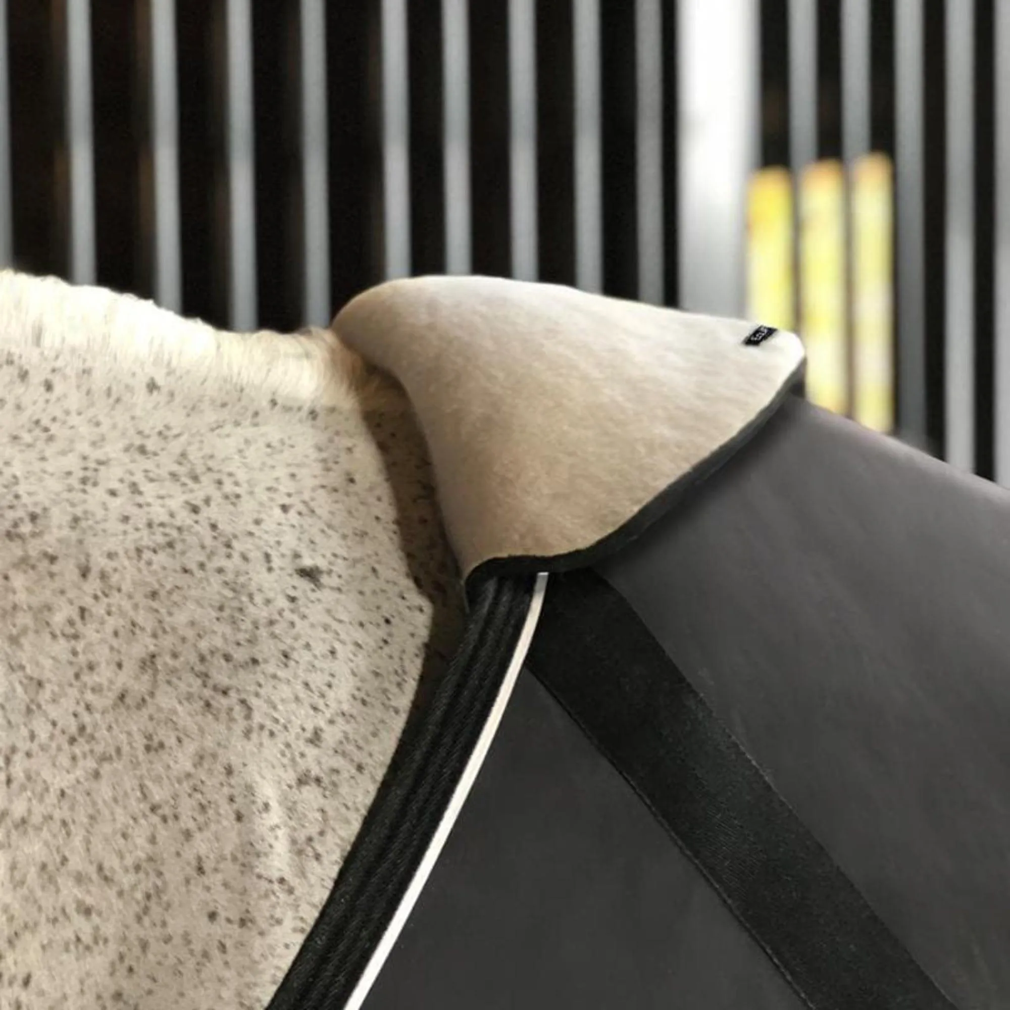 EquiFit WitherShield™