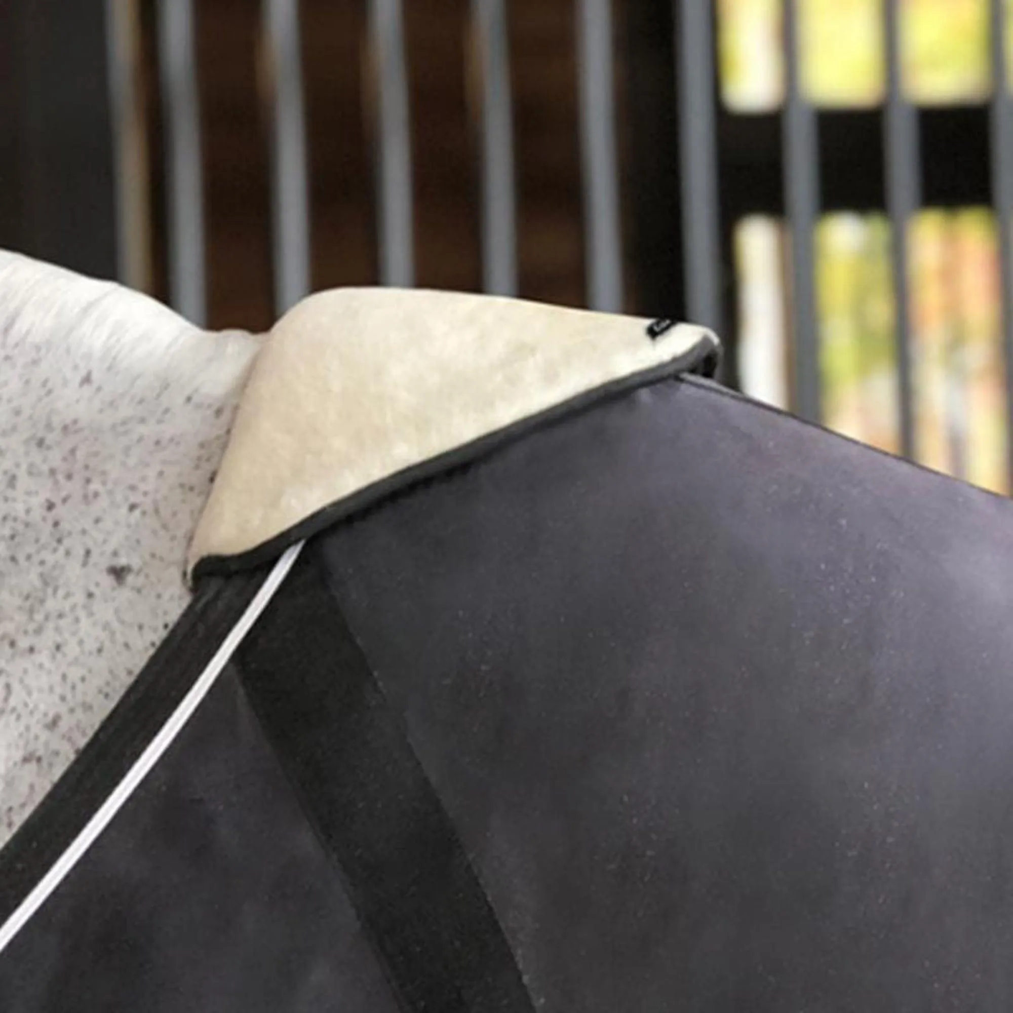 EquiFit WitherShield™