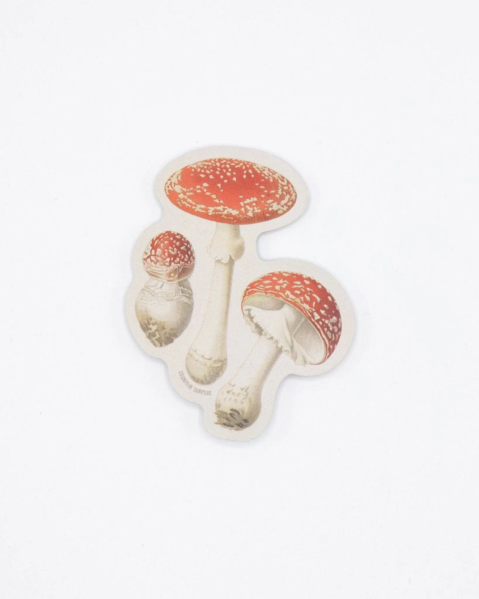 Fly Agaric Poisonous Mushrooms Sticker