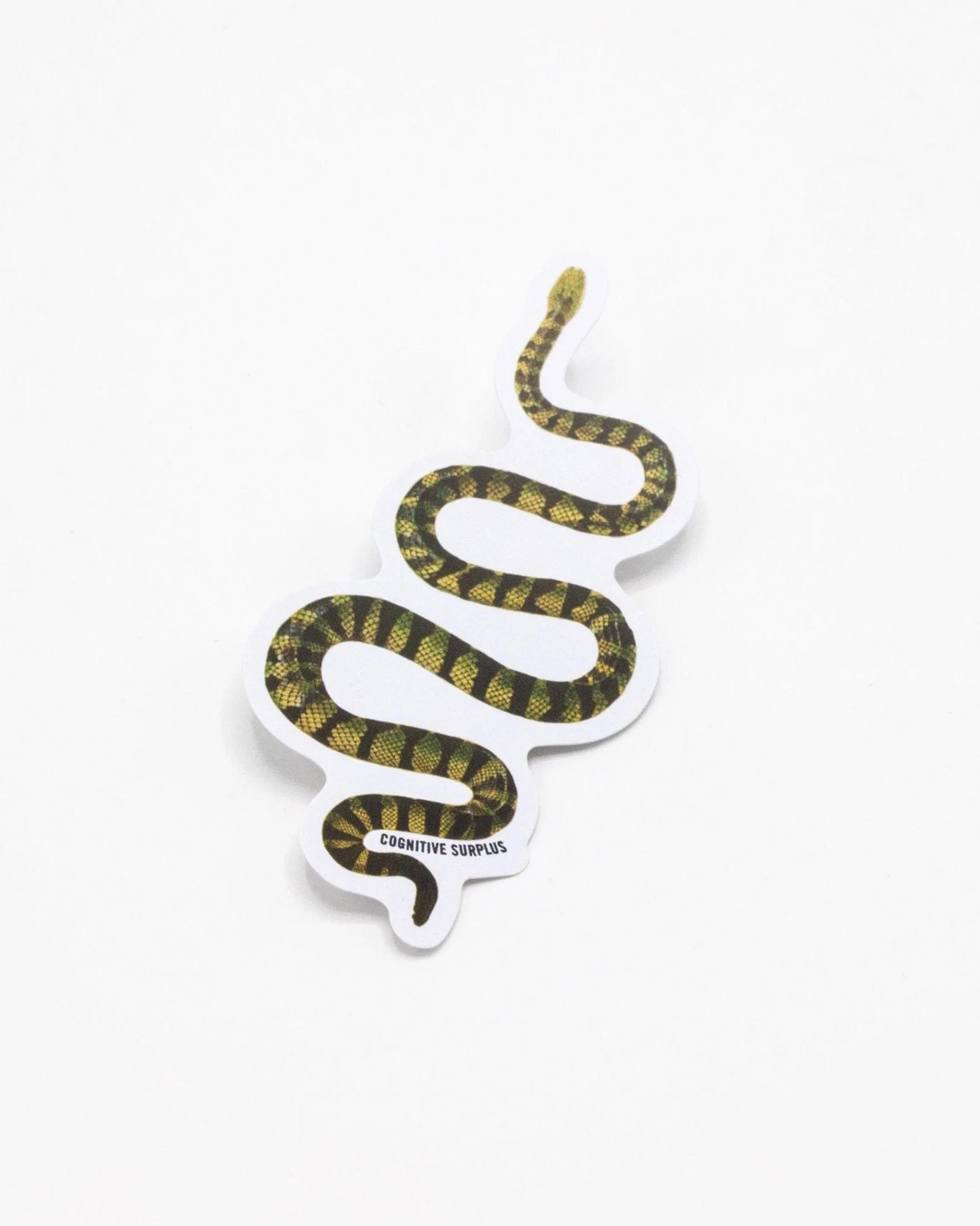 Green Snake Sticker