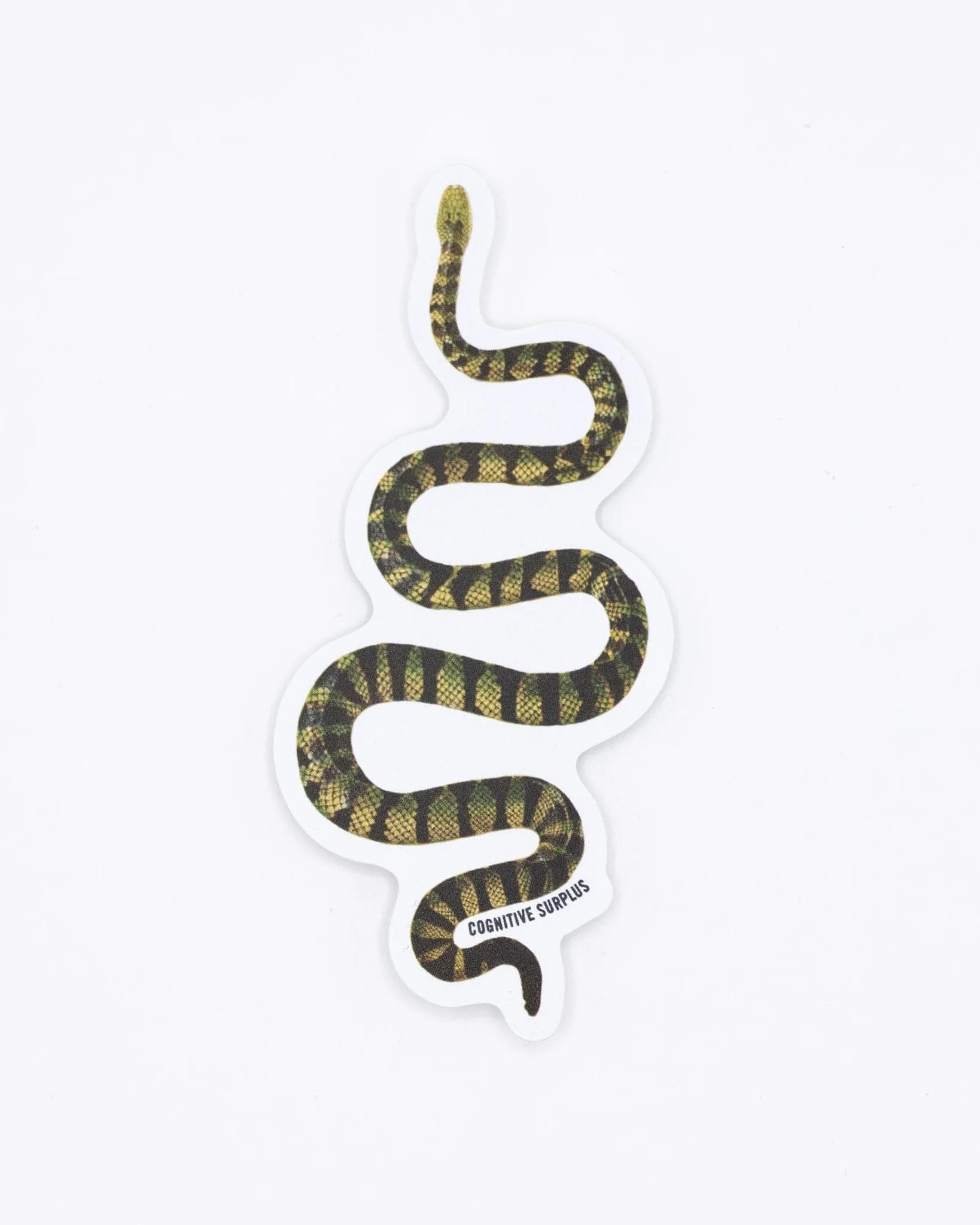 Green Snake Sticker