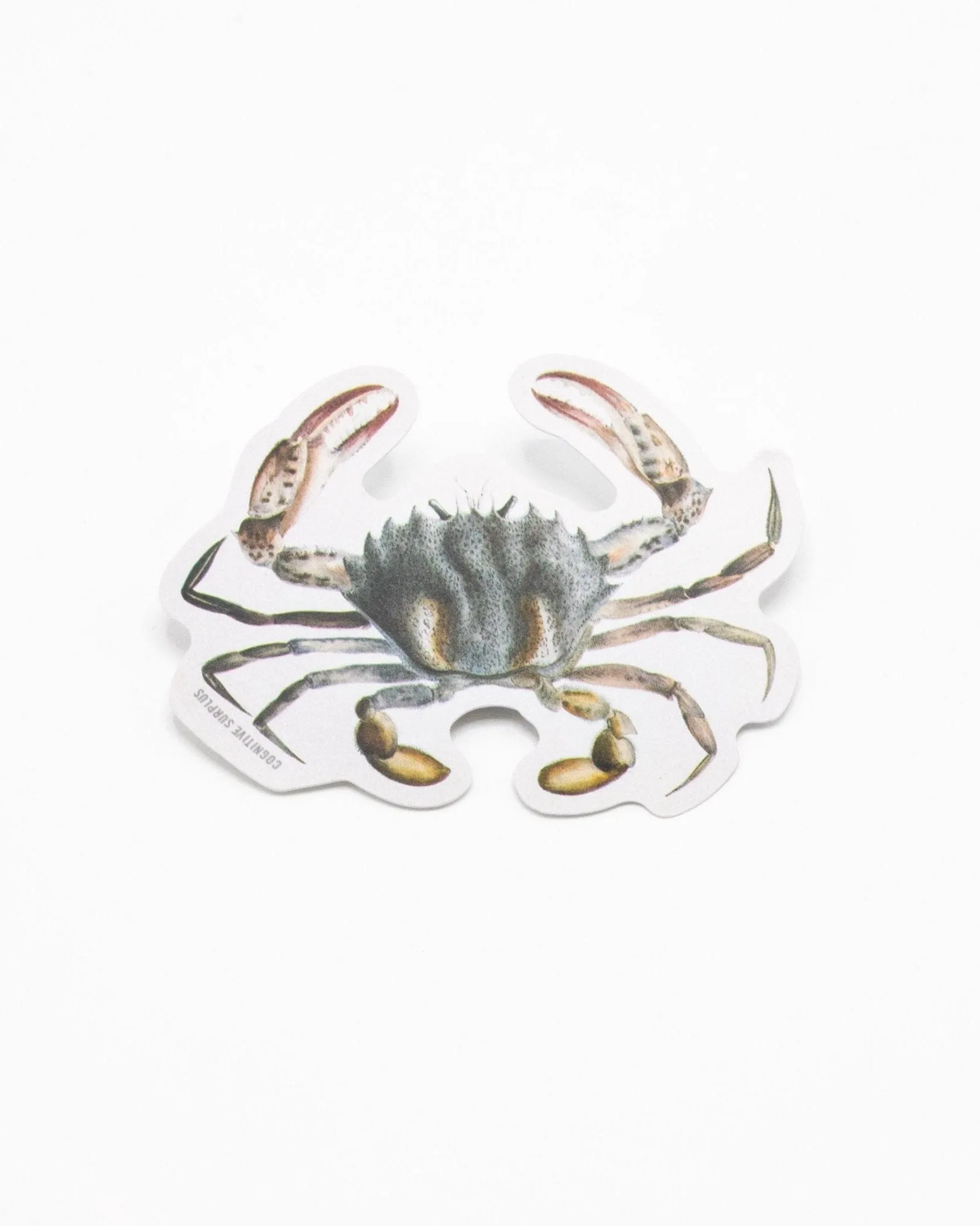 Lady Crab Sticker