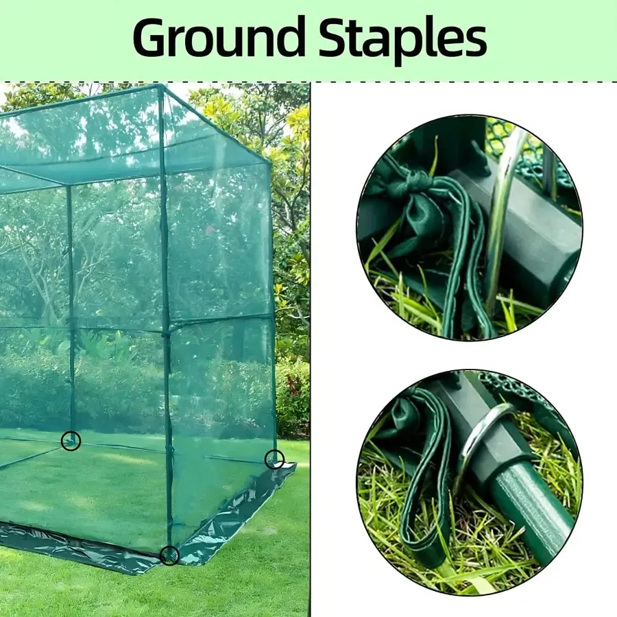 Maze Medium Crop Protection Cage  - 244 x 122 x 182 cm