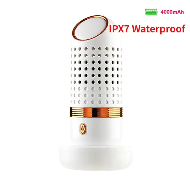 Portable Fruit Vegetable Purifier Sterilizer