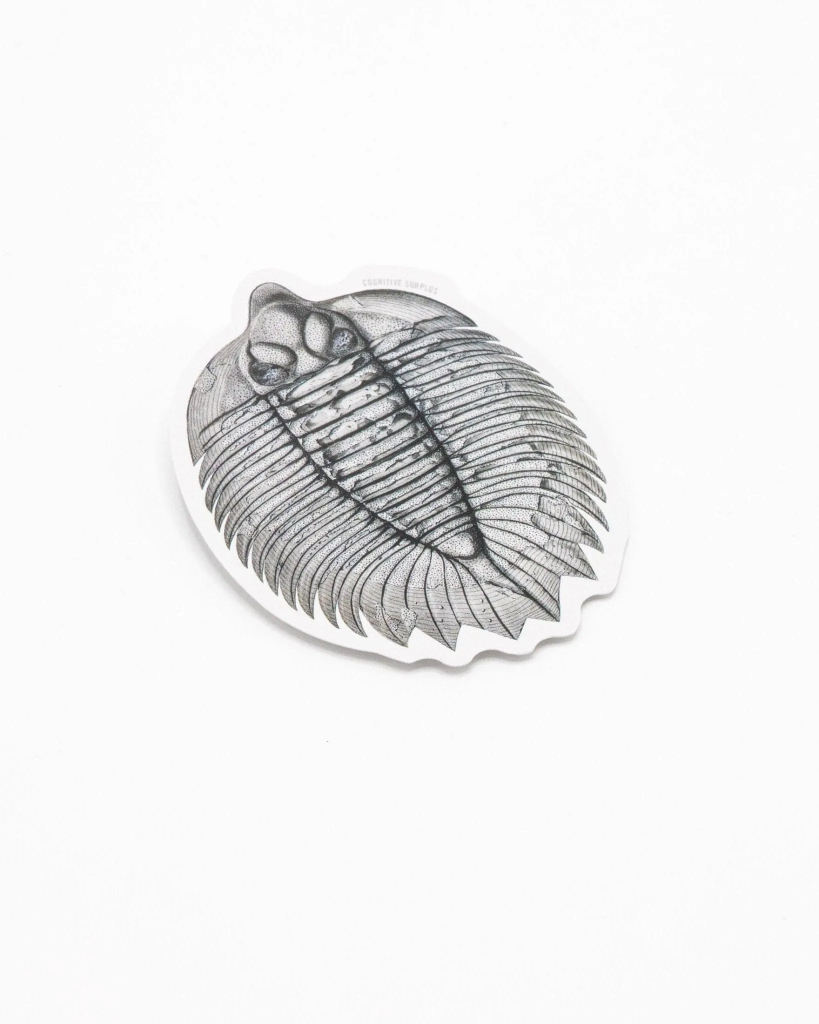 Trilobite Fossil Sticker